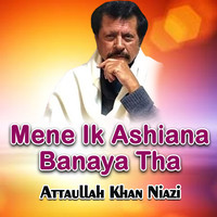 Mene Ik Ashiana Banaya Tha Songs Download: Play & Listen Mene Ik ...