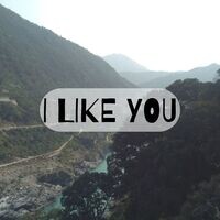 I Like You