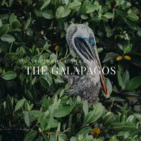 The Galapagos