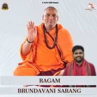 Brundavani Sarang (From " Vedic Music ")