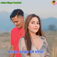 Aslam Singer SR 6950
