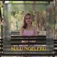 Sulu Ngelebu