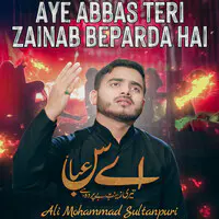 Aye Abbas Teri Zainab Be Parda Hai