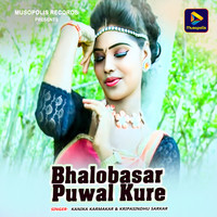 Bhalobasar Puwal Kure