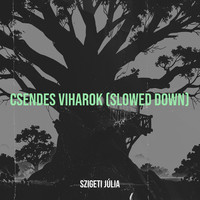 Csendes Viharok (Slowed Down)