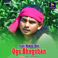 Tumi Dekha Dao Ogo Bhogoban