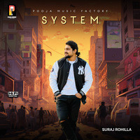 System