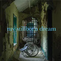 My Stillborn Dream