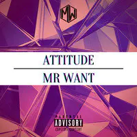 Attitude