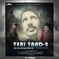 Teri Yaad 2 (feat. Shoki Foji)