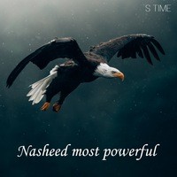 Nasheed most powerful