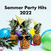 Holland Song|257ers|Sommer Party Hits 2022| Listen To New Songs.