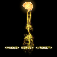 Vagus Nerve Reset