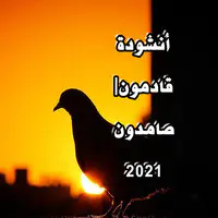 انشودة قادمون|صامدون 2021