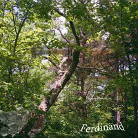 Ferdinand