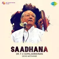 Saadhana - Dr. T. V. Gopalakrishnan