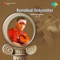 Kunnakkudi Vaidyanathan Violin