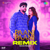 Paani Paani - Remix