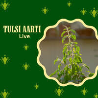 Tulsi Aarti live Song Download: Play & Listen Tulsi Aarti live Sanskrit