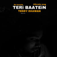 Teri Baatein