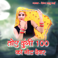 Toy Dungi 100 Ko Note Dever