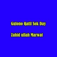 Gulono Qatil Sok Day