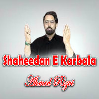 Shaheedan E Karbala