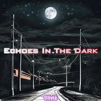 Echoes In The Dark