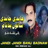 Jandi Jandi Sanu Badnam