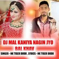 DJ MAL KANIYA NAGIN JYO BAL KHAV