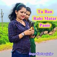 Tu Ban Rahi Matar Panir