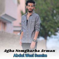 Agha Nemgharha Arman