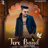 Tere Baad