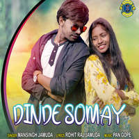 Dinde Somay