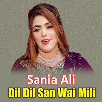 Dil Dil San Wai Mili