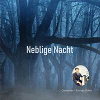 Neblige Nacht