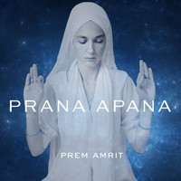 Prana Apana (feat. M.B. Gordy)