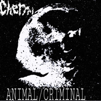 Animal/Criminal