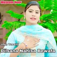 Dilsana Nahisa Bewafa