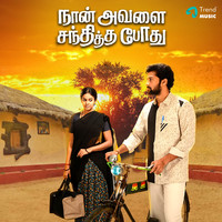 Naan Avalai Santhiththa Pothu (Original Motion Picture Soundtrack)