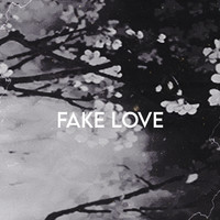 Fake Love