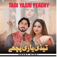 Tedi Yaari Pichey