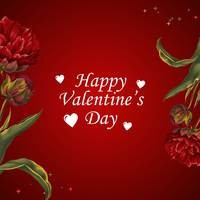 Happy Valentine's Day