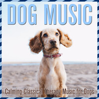 Dog Music: Calming Classical Therapy Music for Dogs