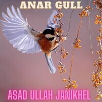 Anar Gull