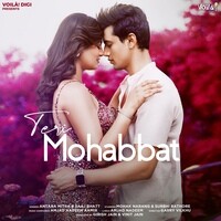 Teri Mohabbat