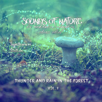 Sounds of Nature - Thunder and Rain in the Forest for Meditaion, Relaxation, Stress Relief, Vol. 3