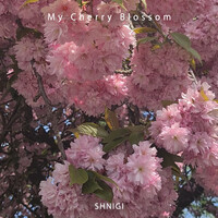 My Cherry Blossom