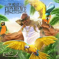 The Willie J Experience