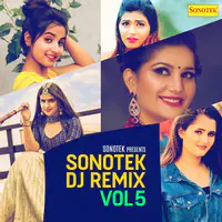 Sonotek DJ Remix Vol 5